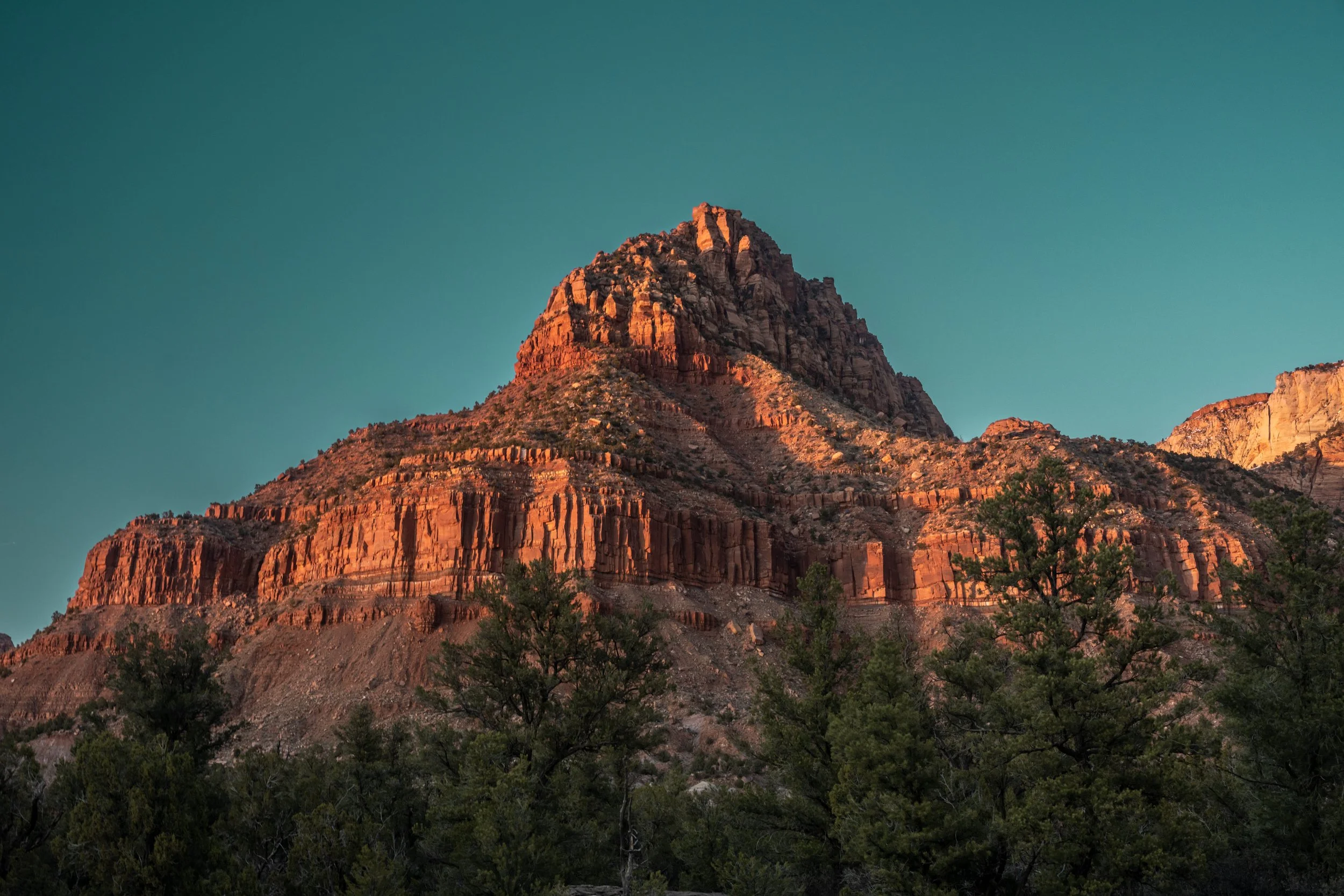 Chinle Trail and Coalpits Wash — Drive. Hike. Repeat.